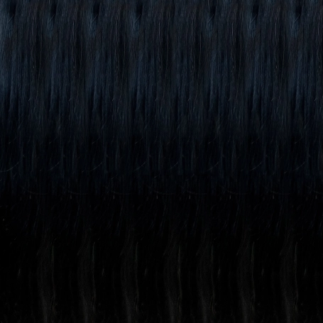 Black Remy Hair